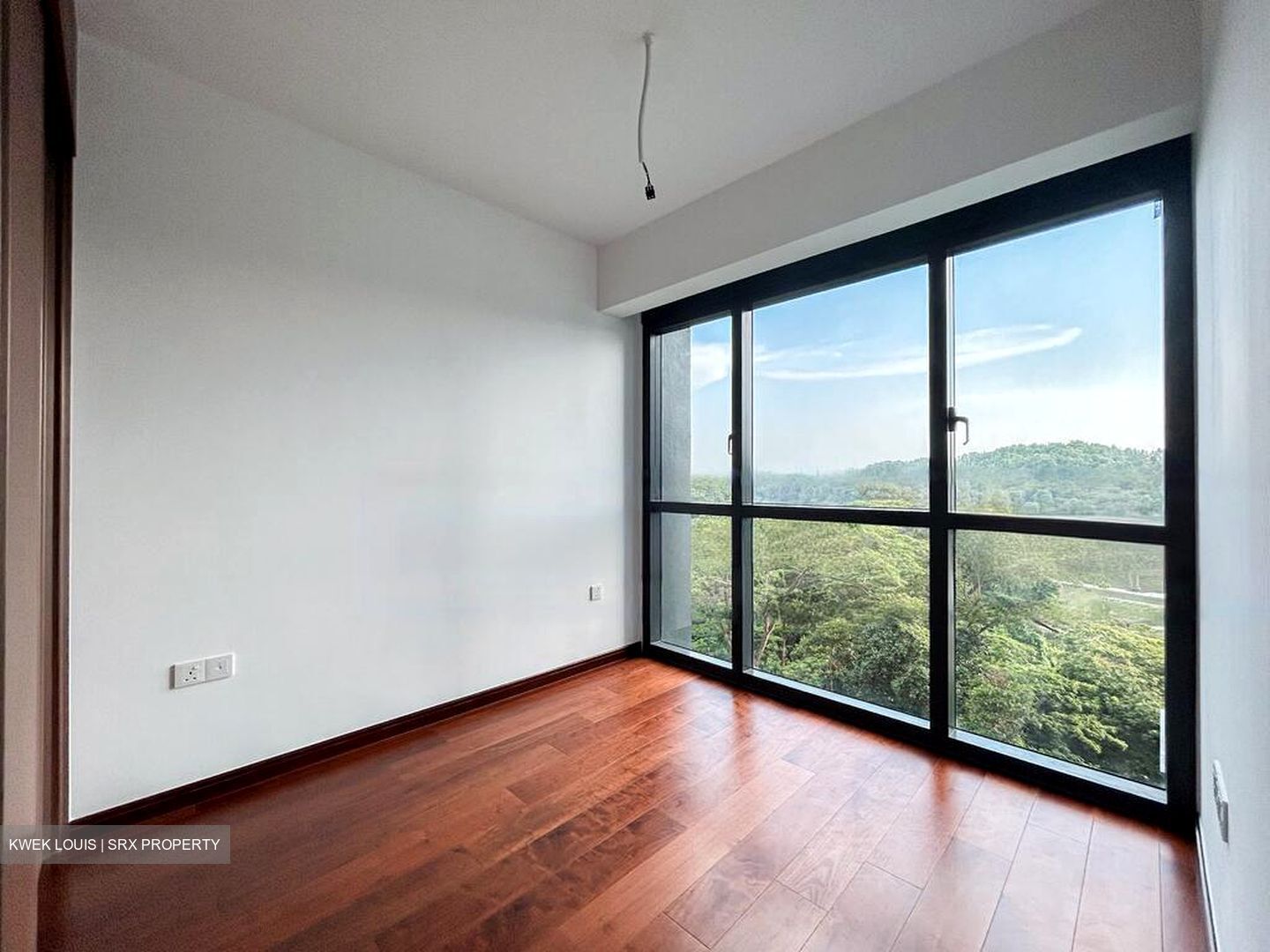 Normanton Park (D5), Apartment #452951521